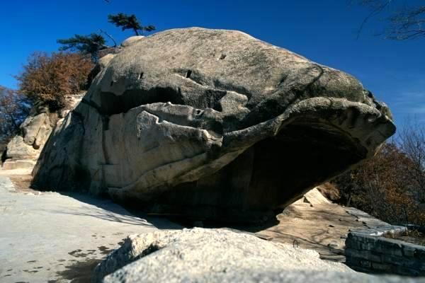 体育用品市场新风向：民族品牌领跑秩序与作风建设，价格战告一段落